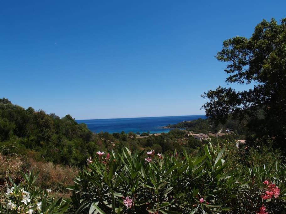 Villa Vista Mare 11 Favone Conca Exterior foto