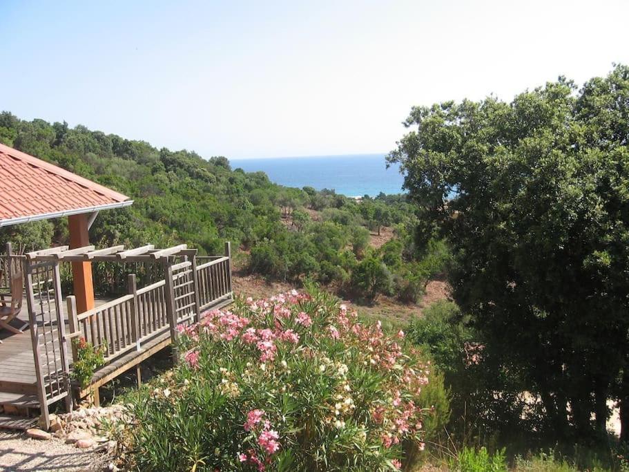 Villa Vista Mare 11 Favone Conca Exterior foto